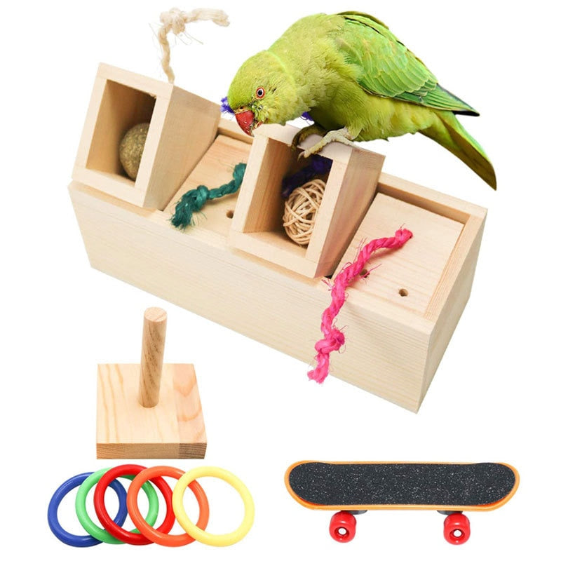 Bird Training Toy Accessories