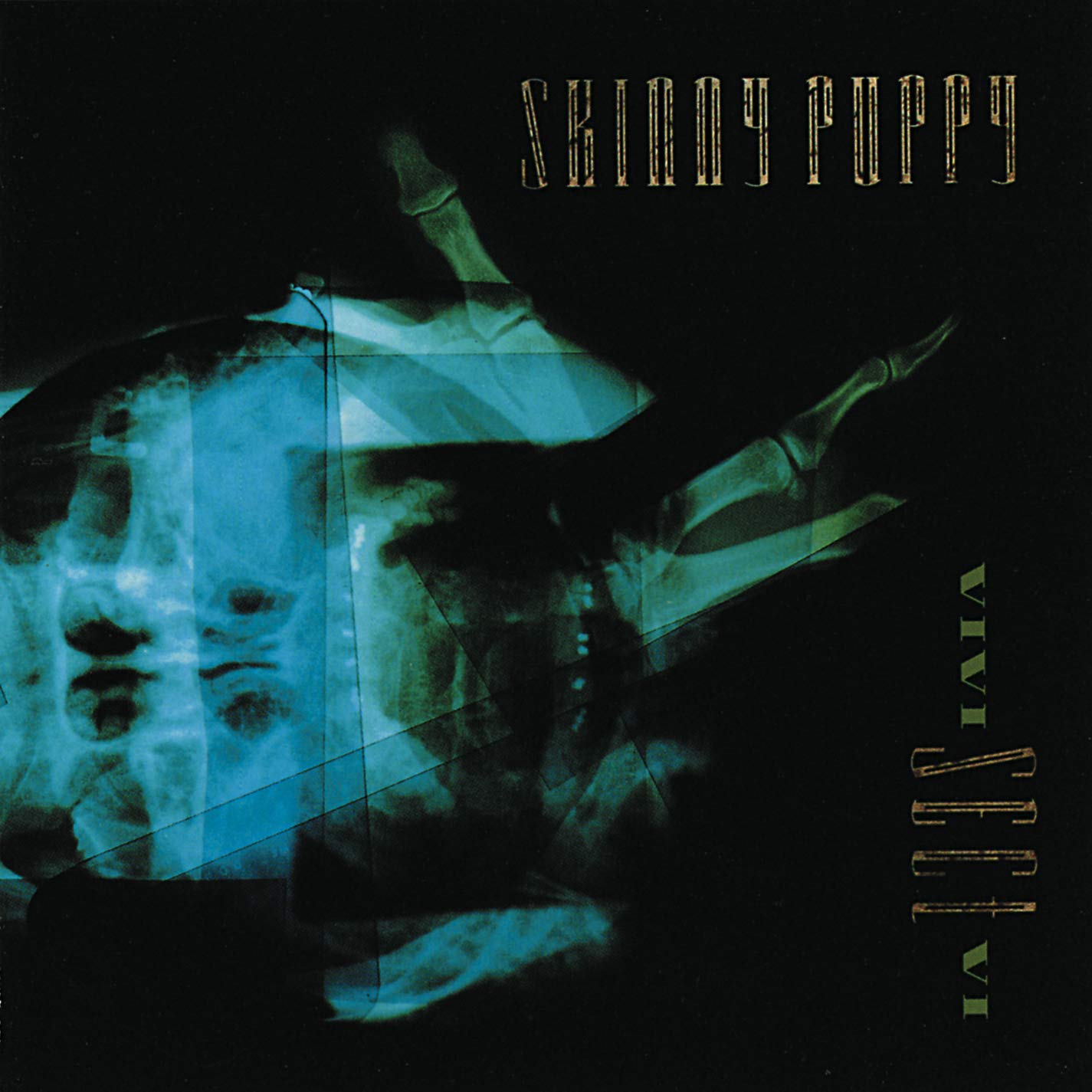 Skinny Puppy -VIVI Sect VI Vinyl LP