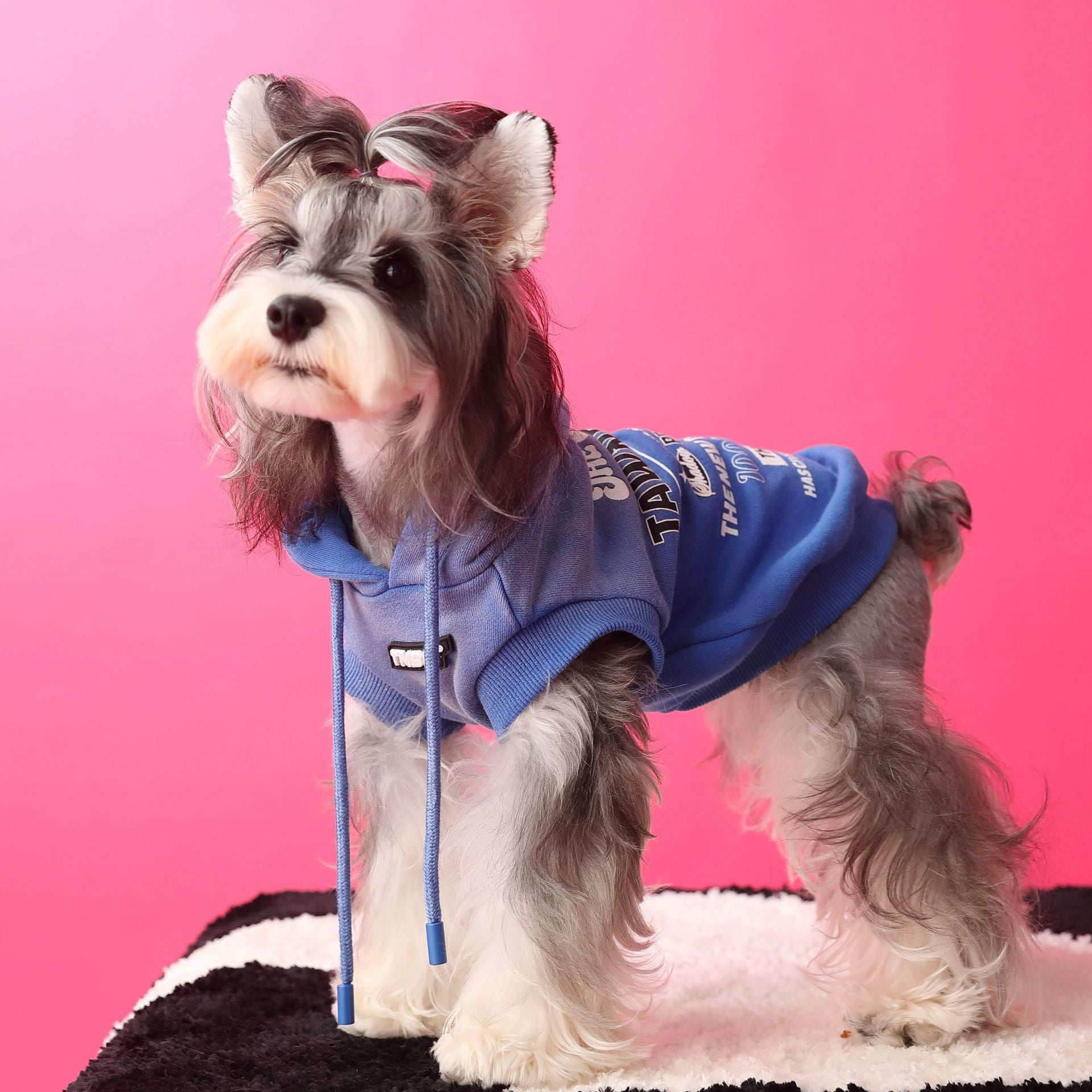 Letter Printed Dog Cat Short Sleeves Hoodie