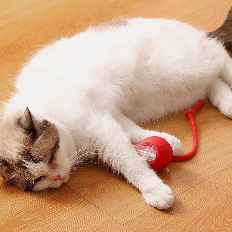 🐱🐶Smart Automatic Rolling Pet Ball