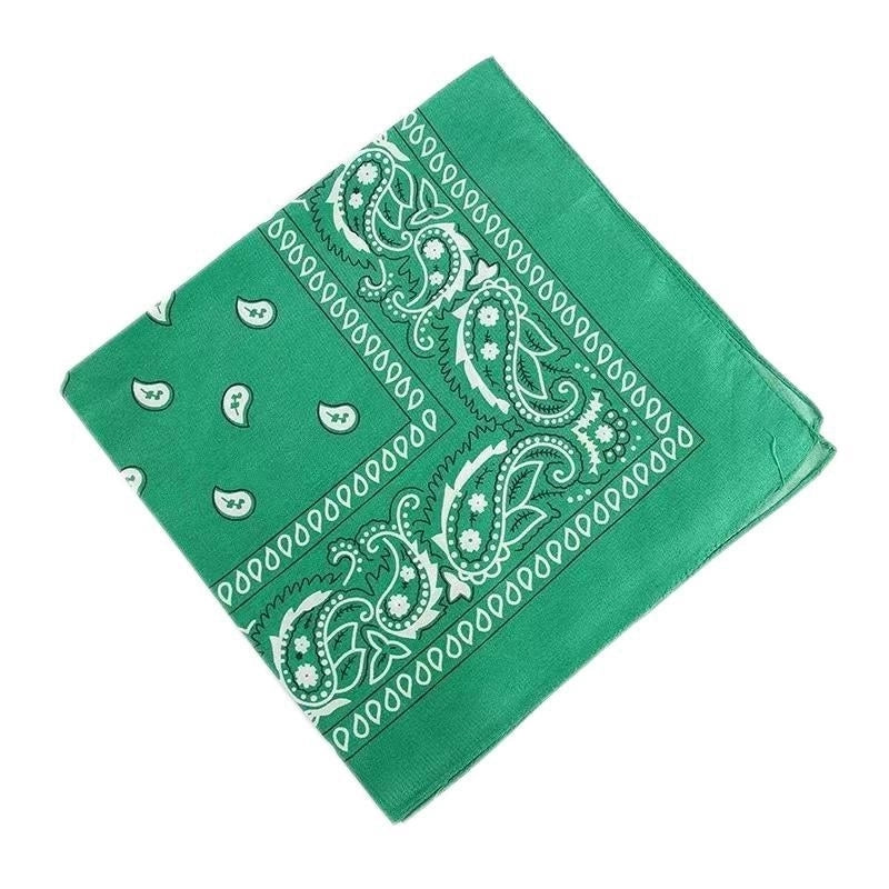 Supply Spot Batch Of Polyester 21g Cashew Flower Scarf Paisley Hip-hop Hip-hop Outdoor Polyester