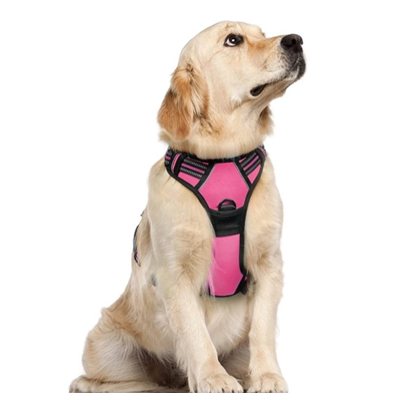 Minimalist Nylon Color Block Leash