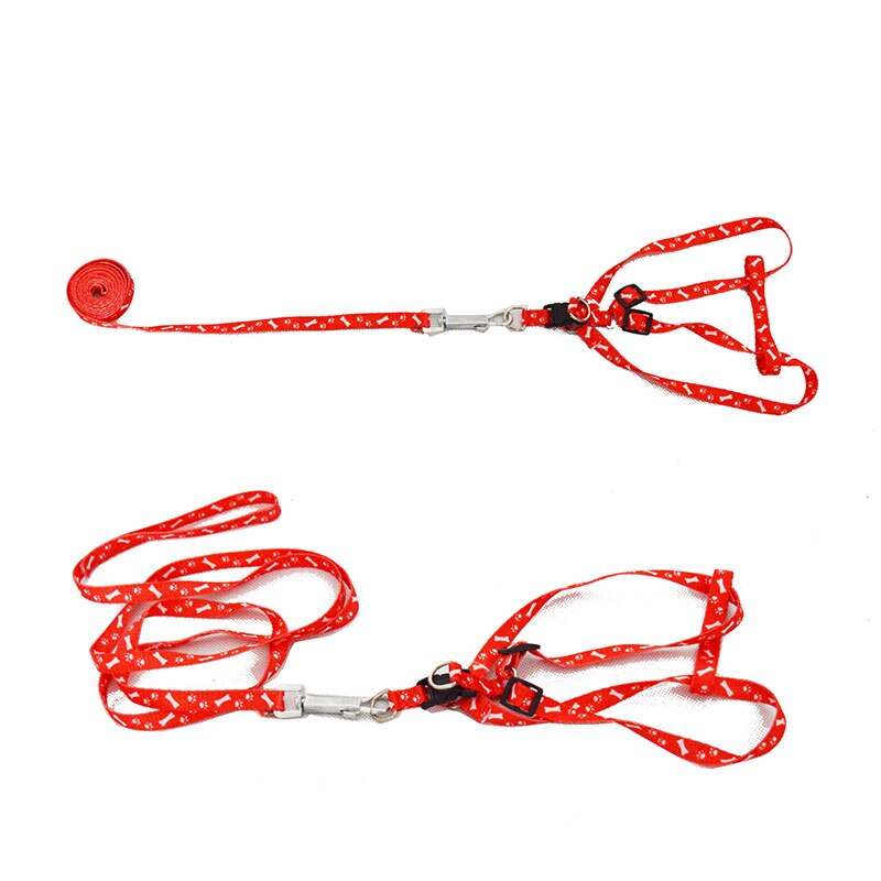 Pet Dog Red Cute Leash