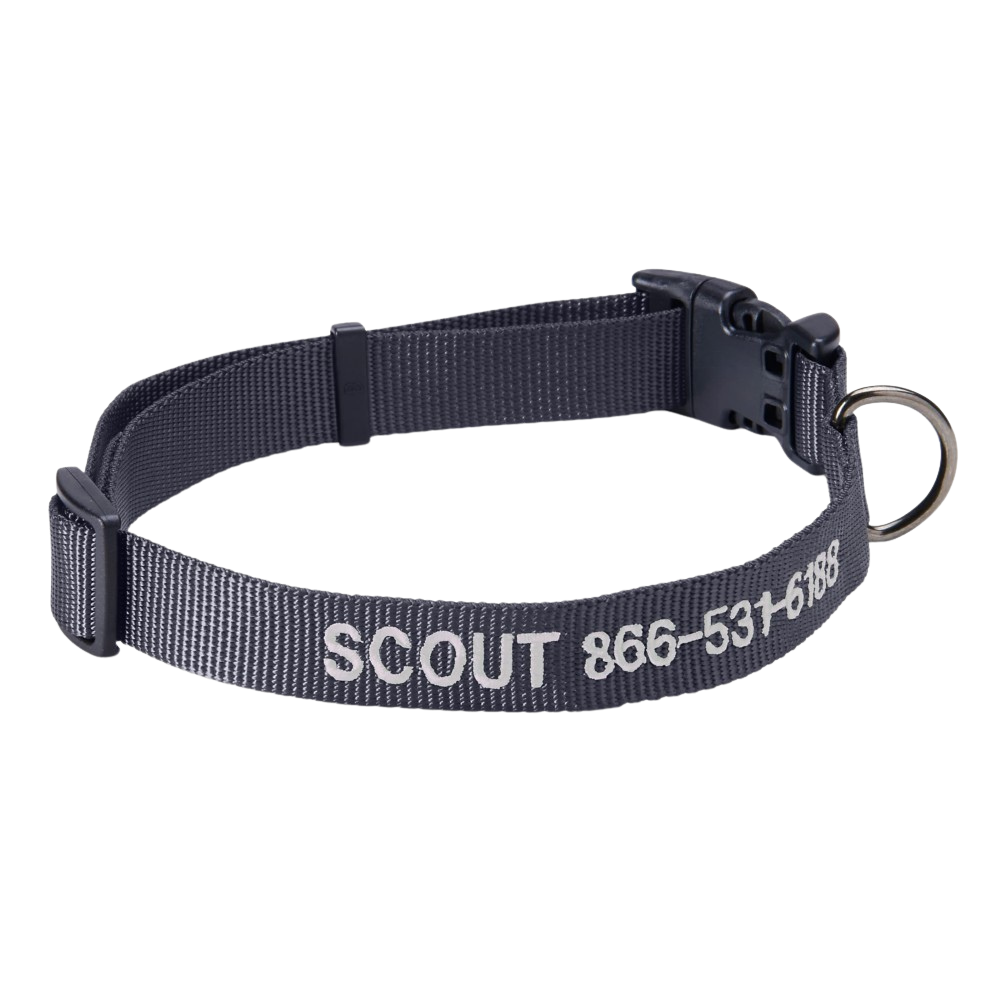Personalized Side Release Buckle Collar
