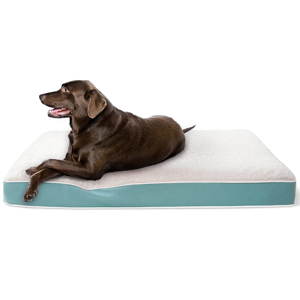 Waterproof Dog Bed With Washable Cover