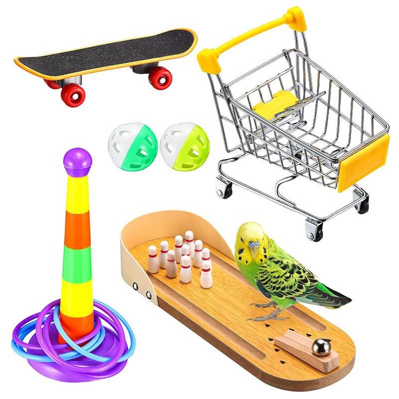 6 Piece Toys For Bird