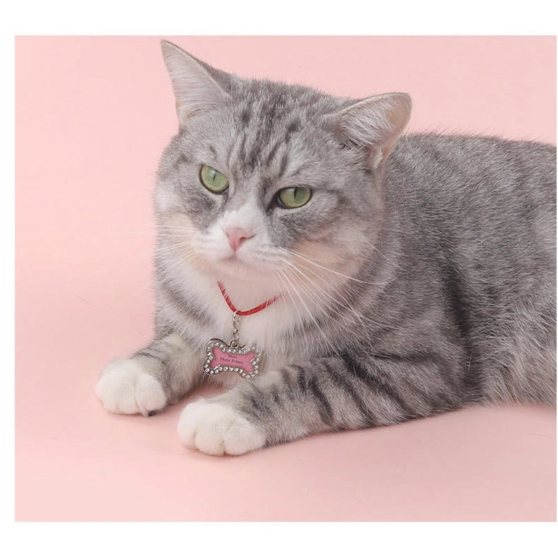 Casual Metal Letter Pet Accessories Id Tag