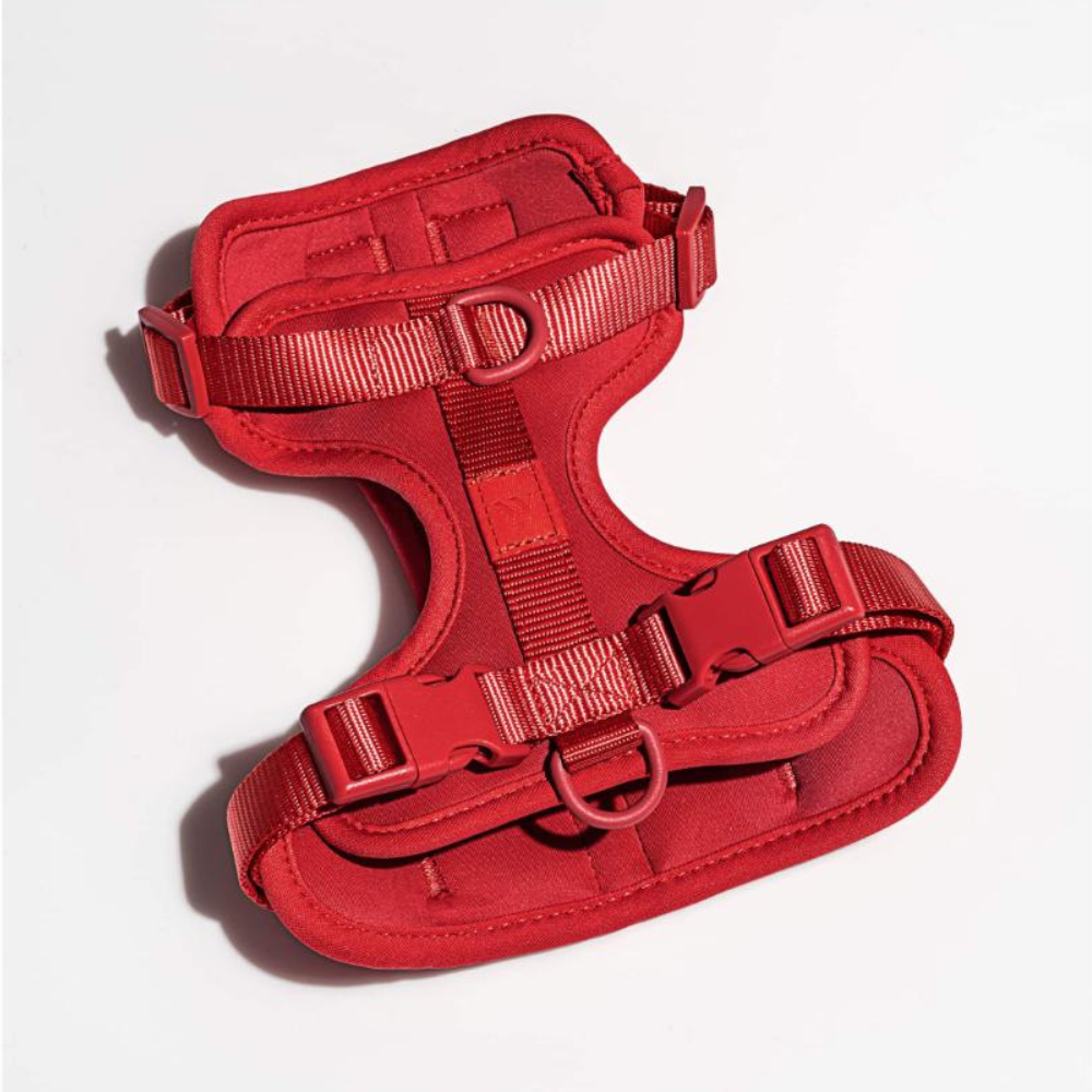 Wild One Dog Harness