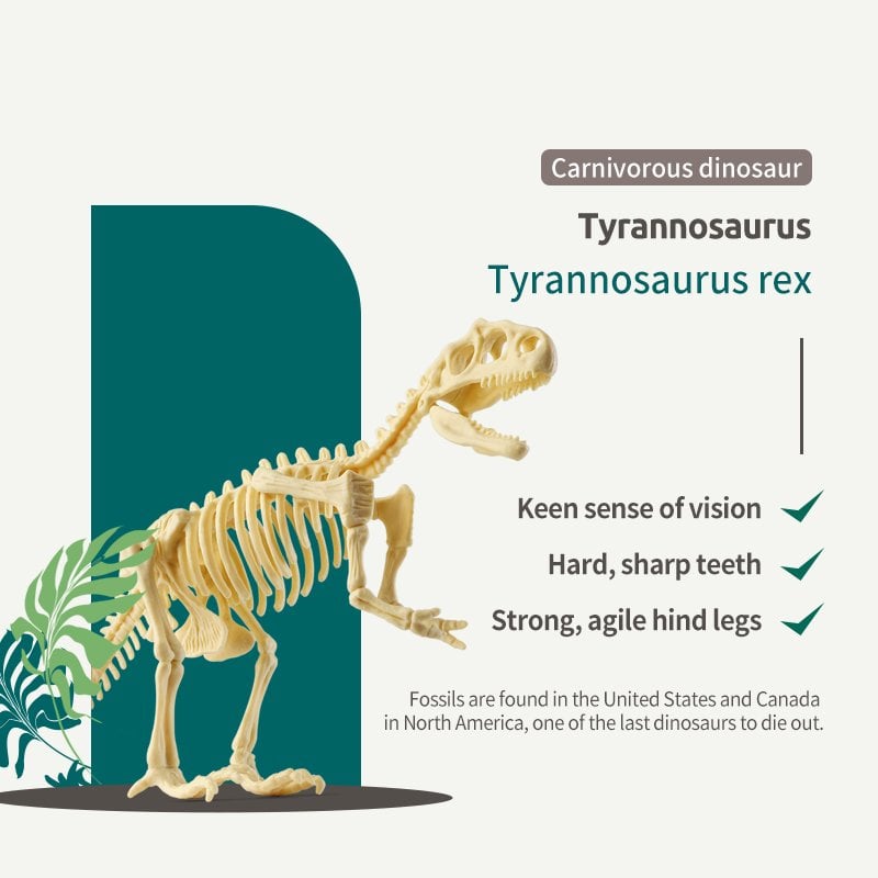 Great Educational Toy for Kids🎁2022 New Arrival Dinosaur Fossil Digging Kit - Get Three Tools For Free🔥