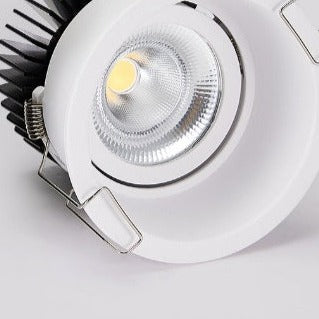 Trimless Downlight