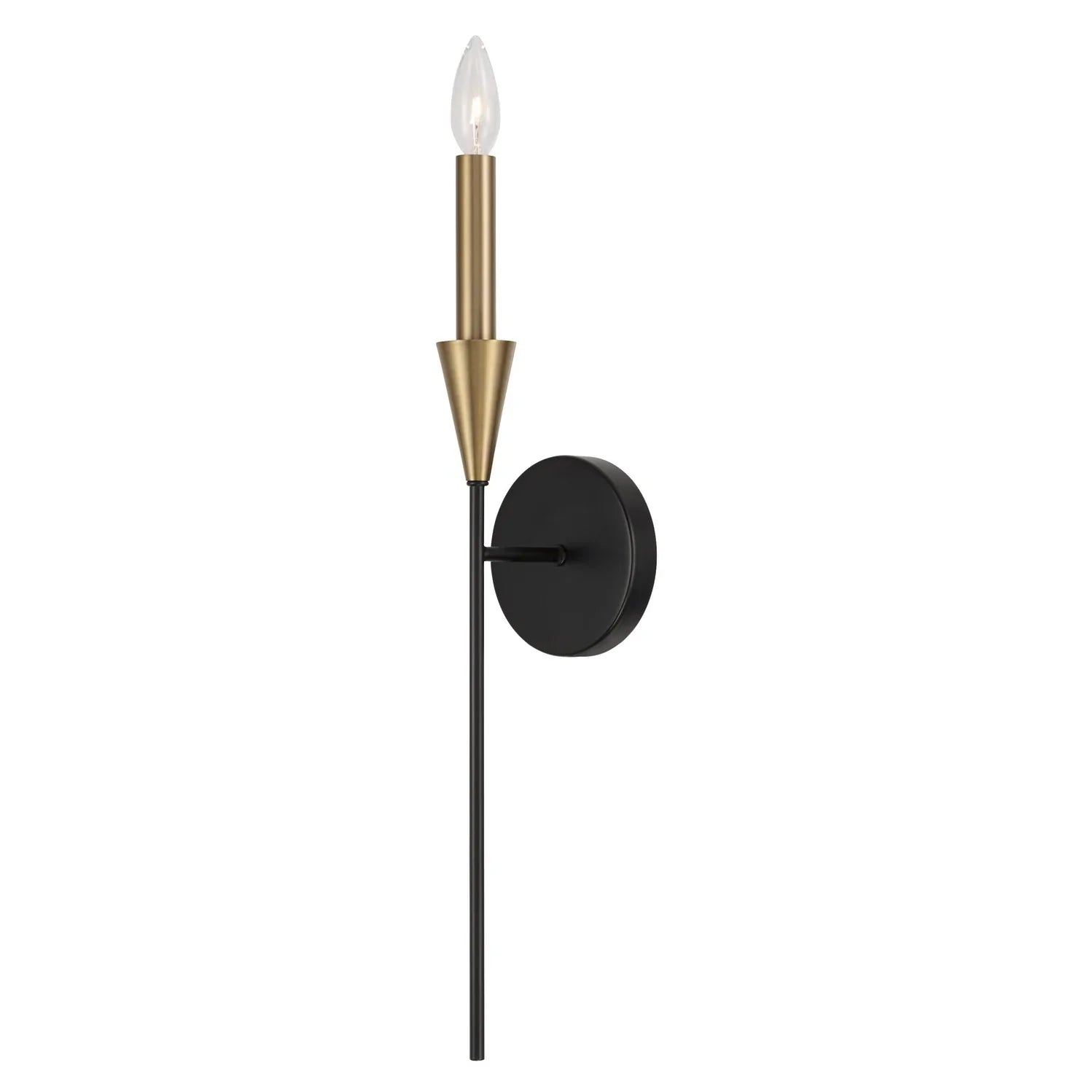 Modern Black & Gold Wall Sconce