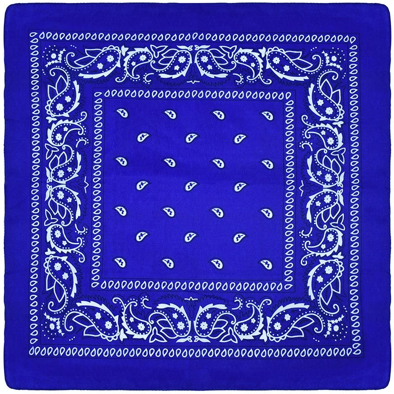 Unisex Hip-hop Paisley