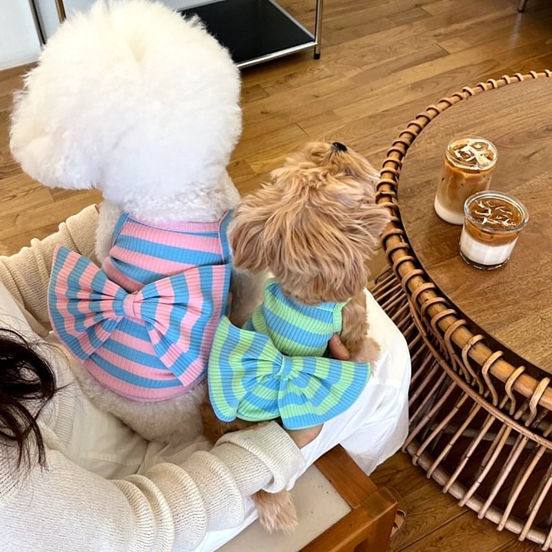 Striped Big Bow Sweet Dog Cat Vest