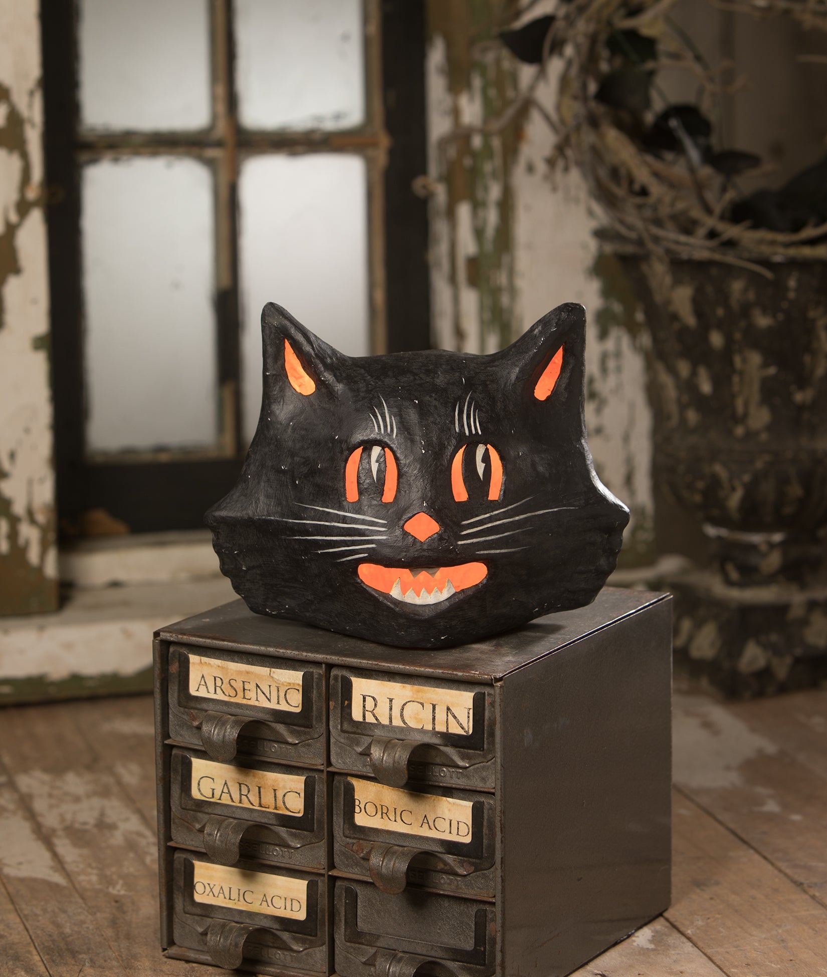 Mr. Shady Cat Luminary Paper Mache