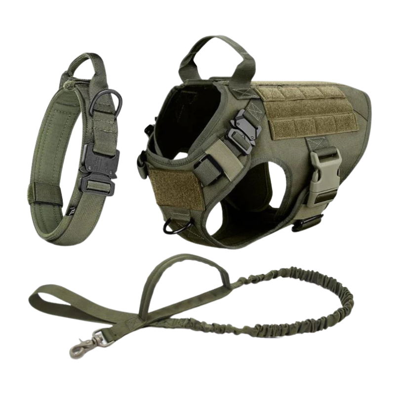 Dog Harness With Front And Back D Rings