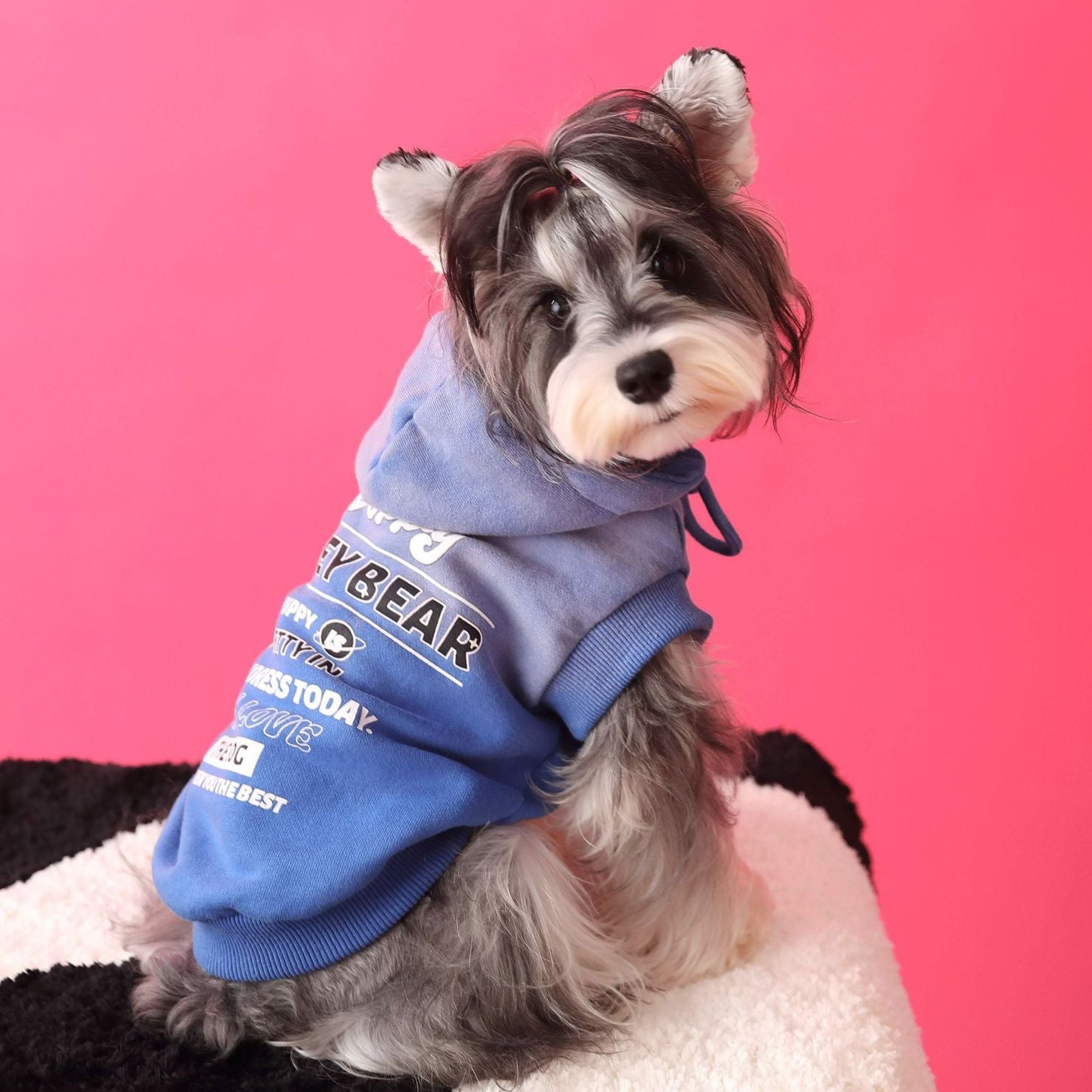 Letter Printed Dog Cat Short Sleeves Hoodie