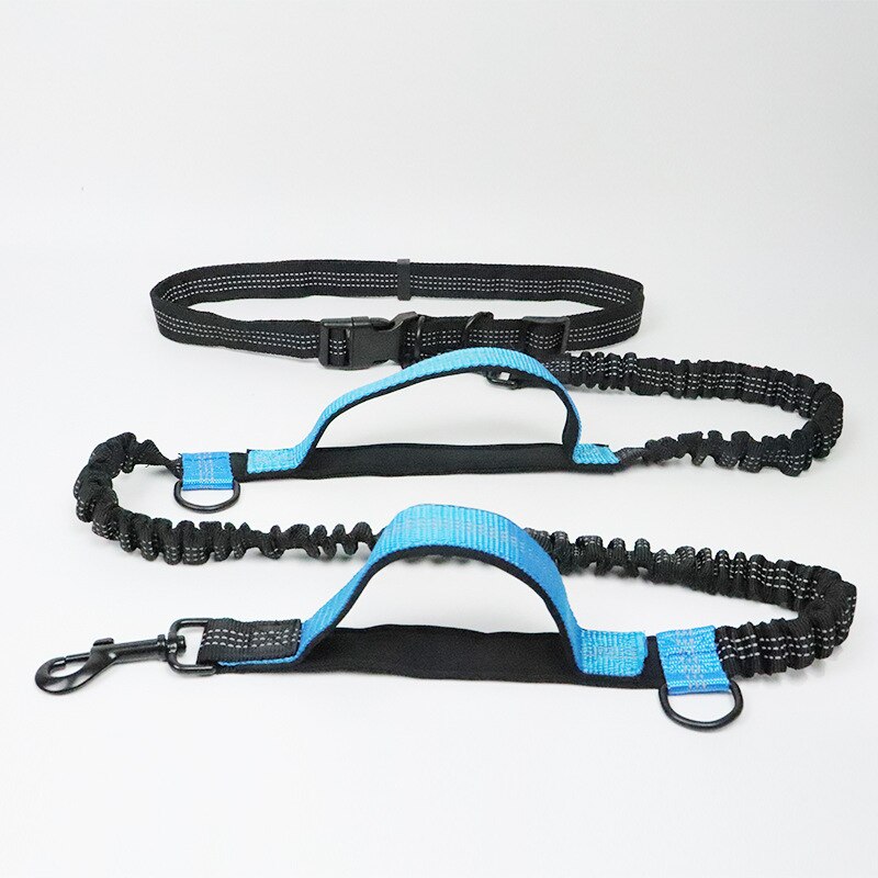 Running Dog Leash