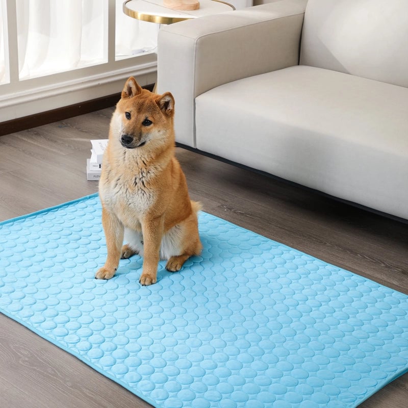 Summer Pet Ice Pad Dog Nest Cooling Mat Cat Ice Silk Pad Pet Supplies Breathable Comfortable Sleeping Mat For Dogs Cats