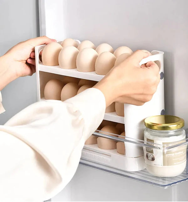 Egg Tray With Record Accurate Storage Time