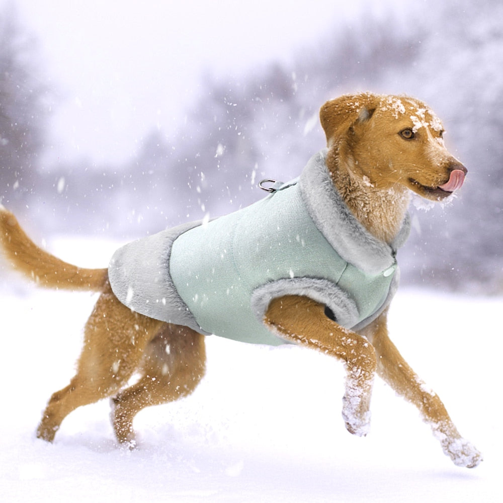 Warm Furry Puppy Coat