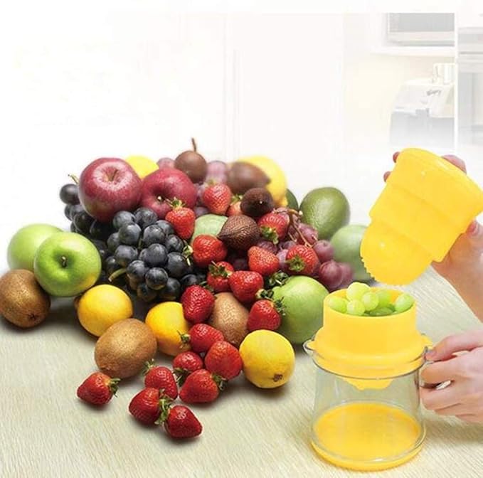 Mini Manual Juicer. Juice Extractor
