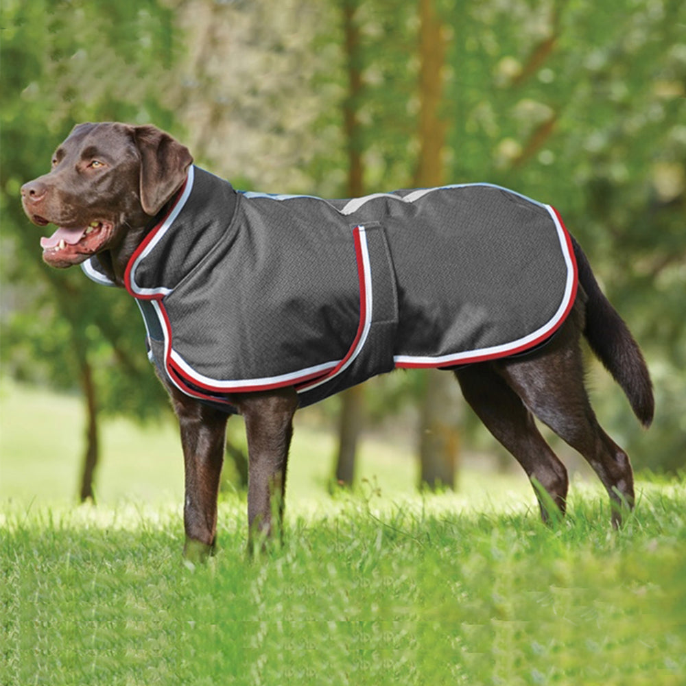 Snuggle Up in Style: Cozy Winter Pet Coat