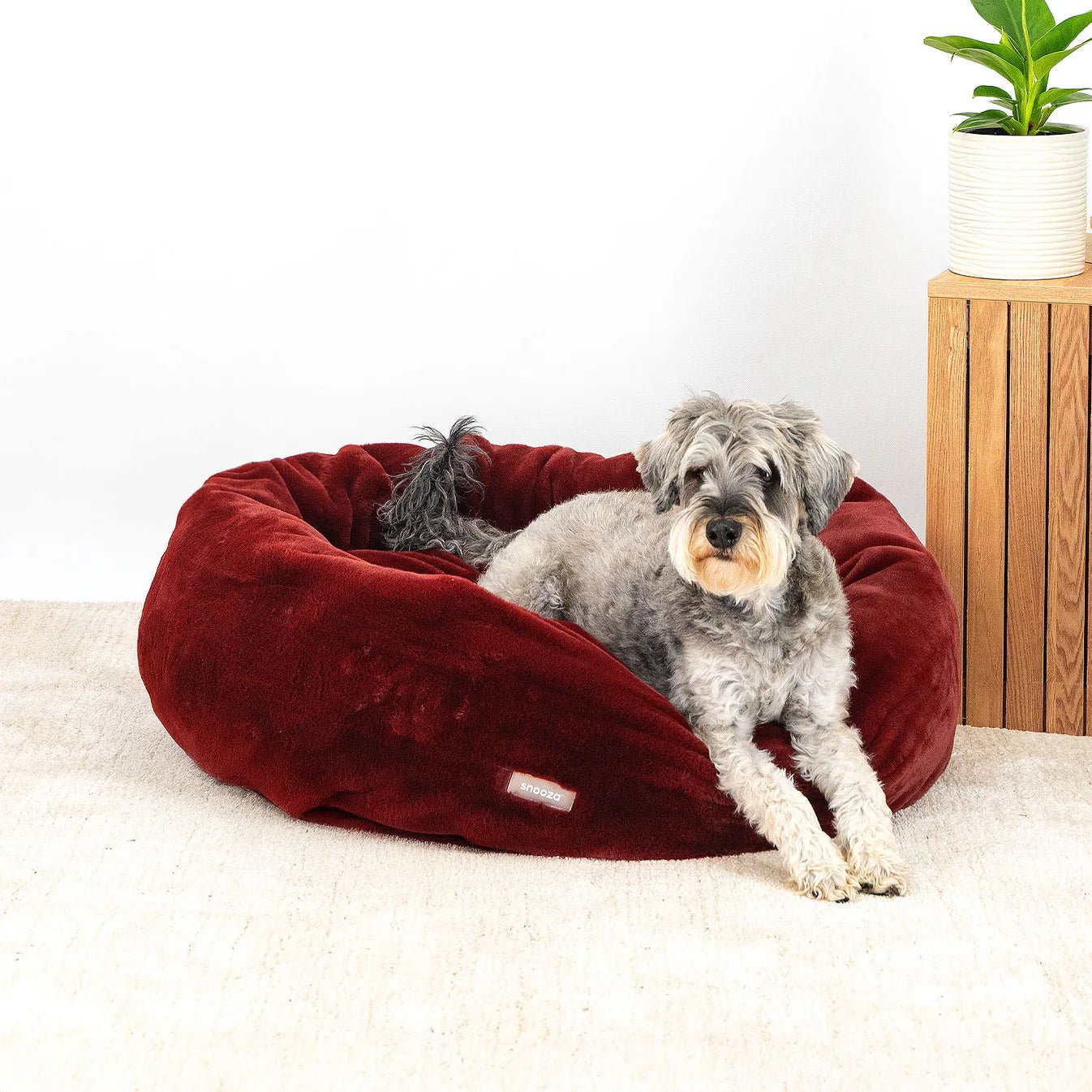 Luxe Cuddler Dog Bed - Plum