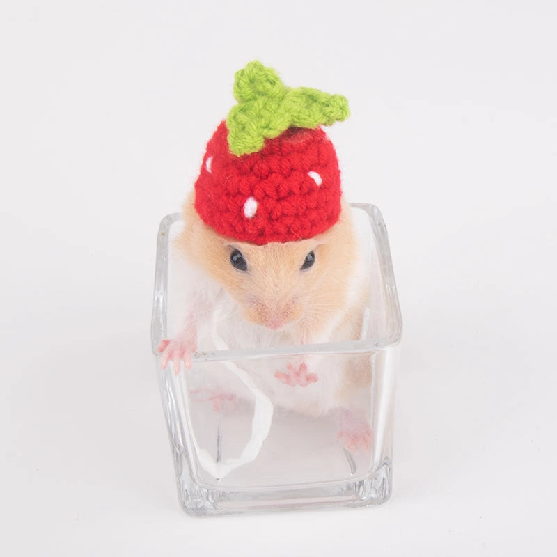 Hamster Hat Parrot Hair Band Photo Small Animal Headdress Handmade Frog Hat Ornaments Hedgehog Headgear Explosions