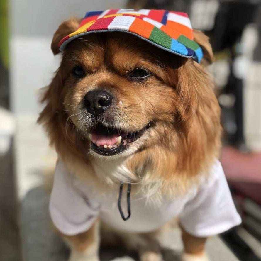 Printed Dog Baseball Cap