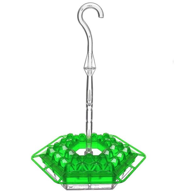 🎉   Promotion-49% OFF 🎉 Sweety Hummingbird Feeder