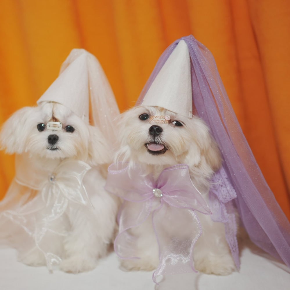 Party Lace Dog Cat Necklace&Hat Set