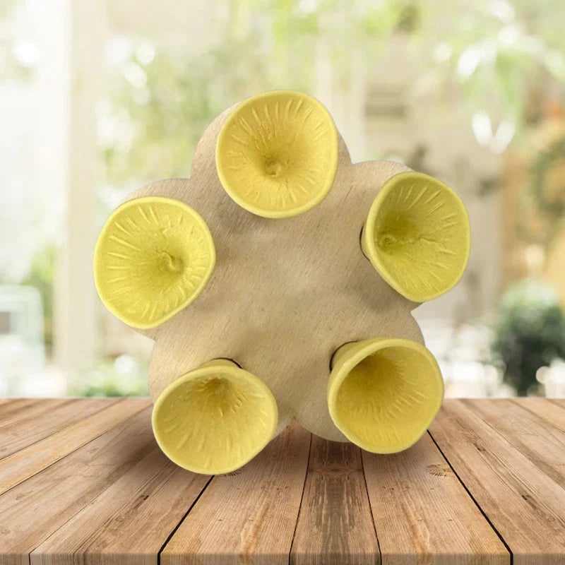 🔥LAST DAY 49% OFF🔥Bee Insect Drinking Cup(5-Pack)🐝🐝🐝