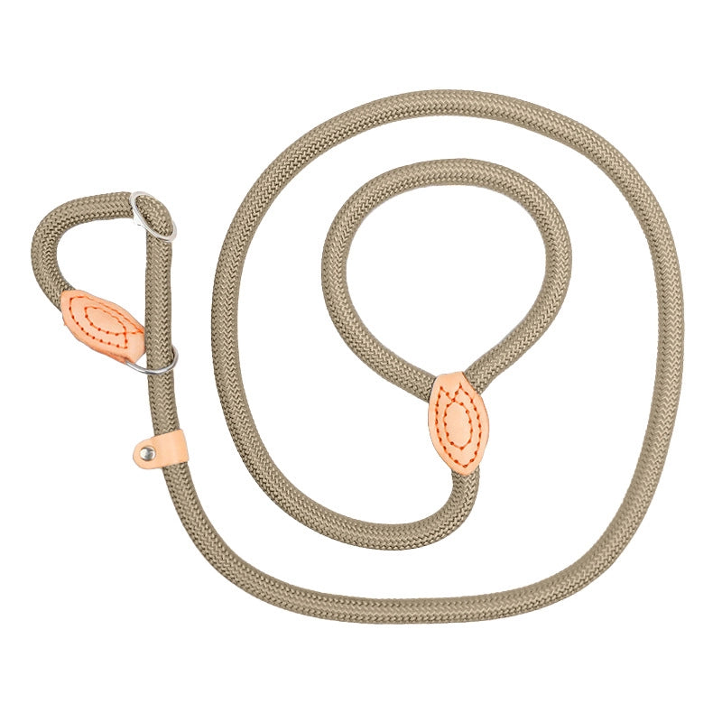 Minimalist Classic Style Nylon Solid Color Leash