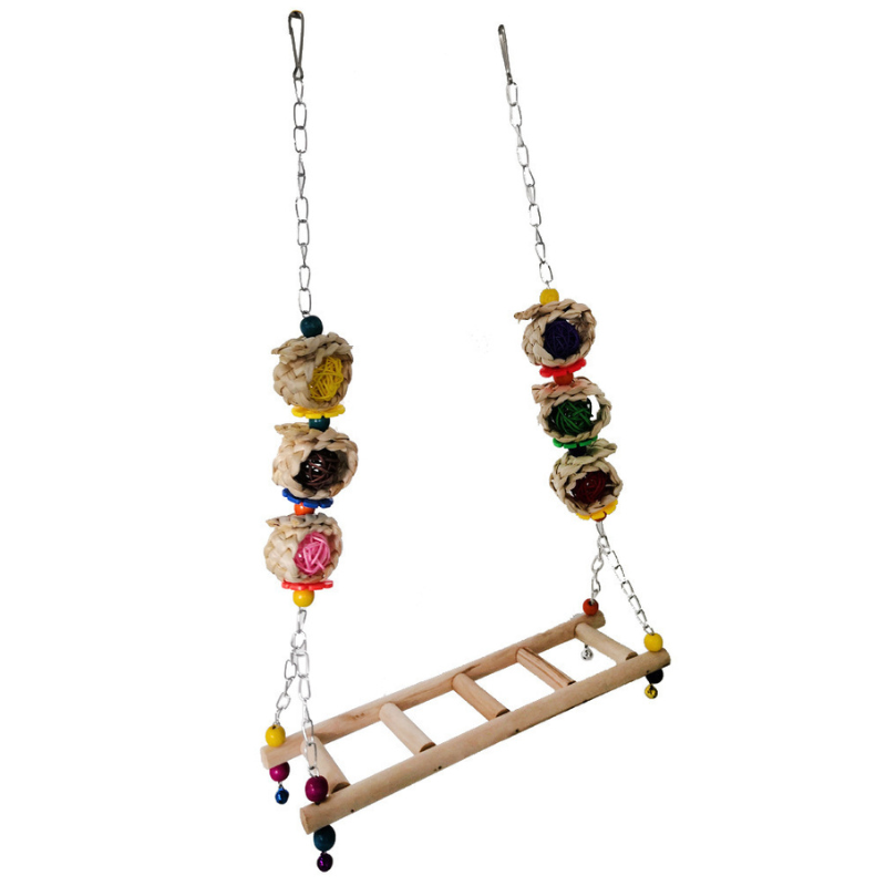 Parrot Swing Perch Ladder
