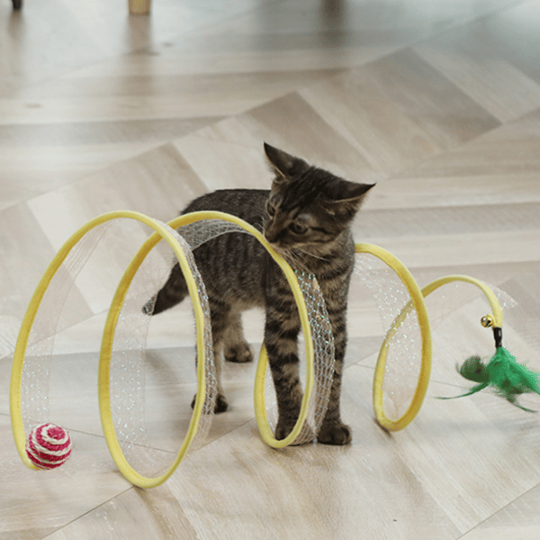 Hot Sale🐈Folded cat tunnel🔥Buy 2 Get 1 Free🔥
