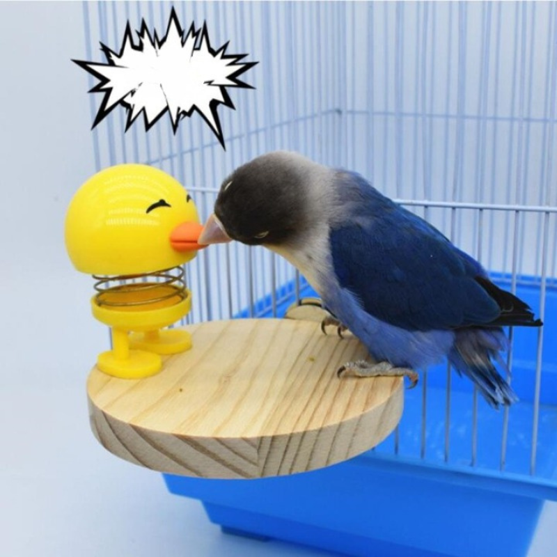 Hanging Bird Plastic Springs Chicken Toy