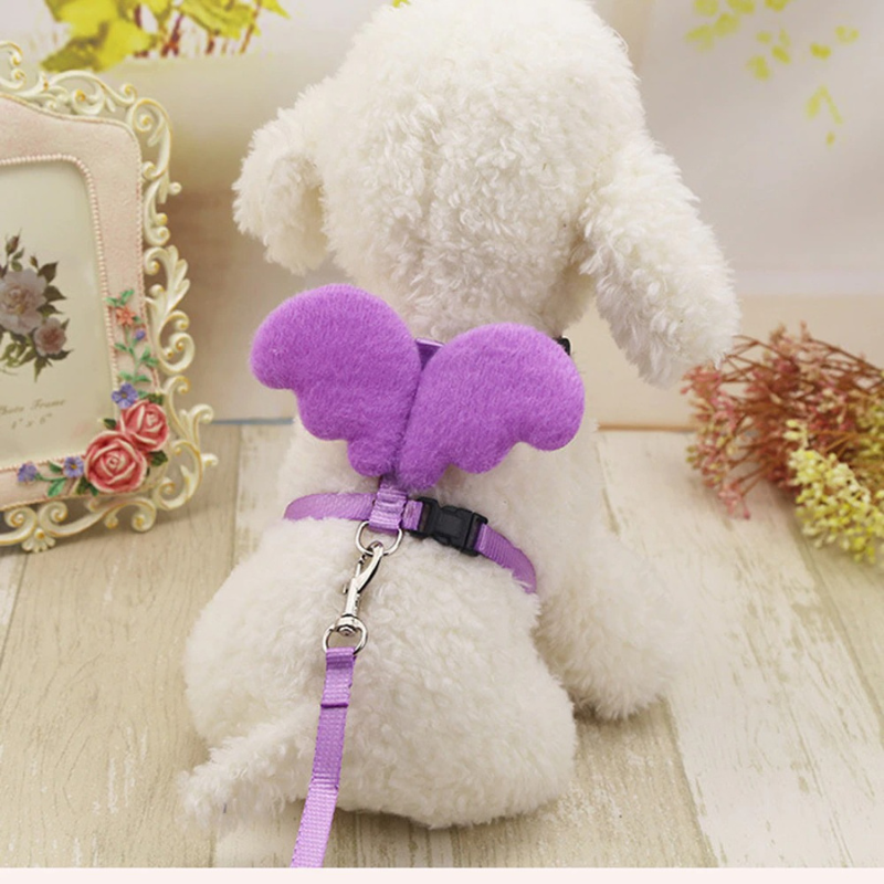 Cute Angel Pet Dog Leashes And Collars Set