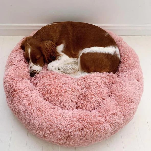 Comfy Calming Dog/Cat Bed