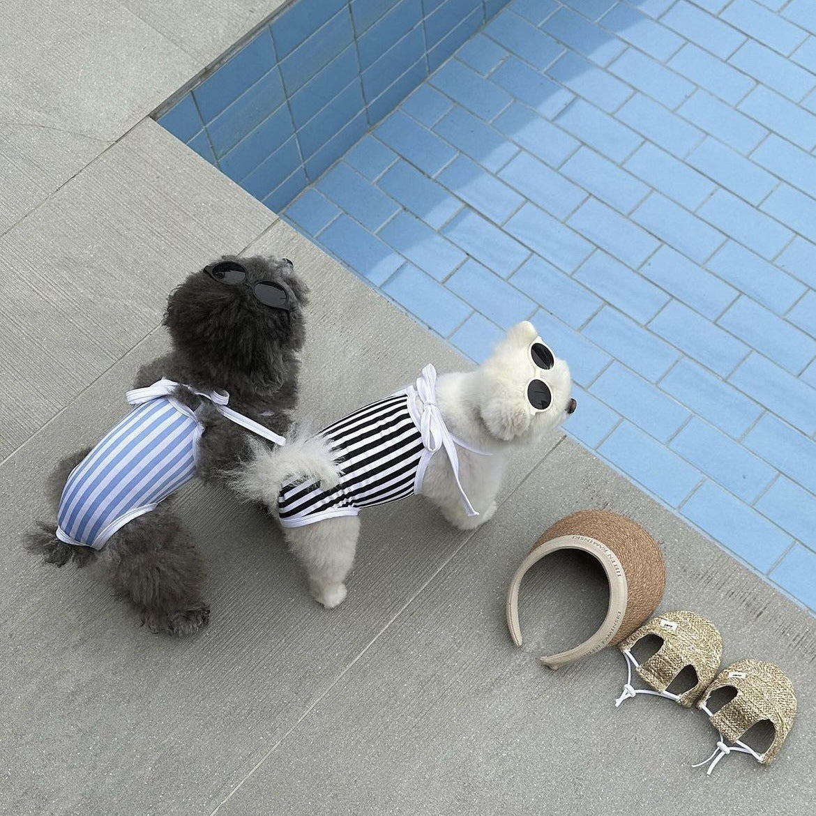 Striped Printed Dog Swimsuit