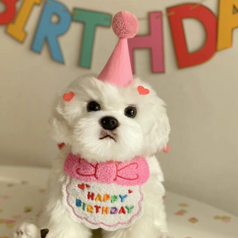 Dog Dog Party Birthday Hat Bib Dog Cat Pet Slippery Bag Slippery Towel Bichon Pet