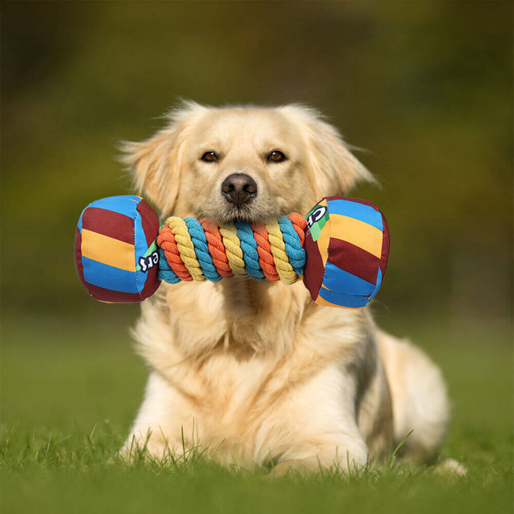 Rainbow Dumbbell Interactive Squeaky Durable Rope Dog Toy