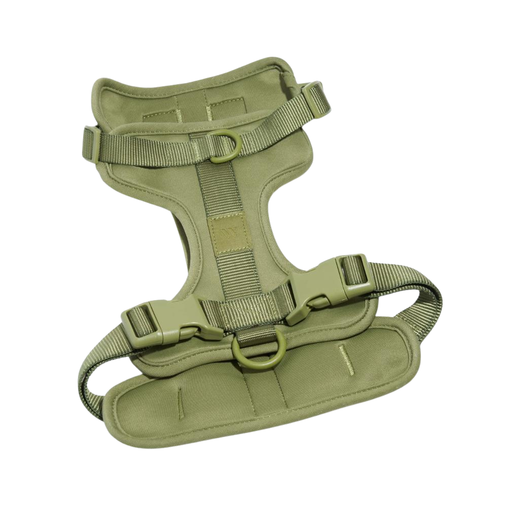Wild One Dog Harness