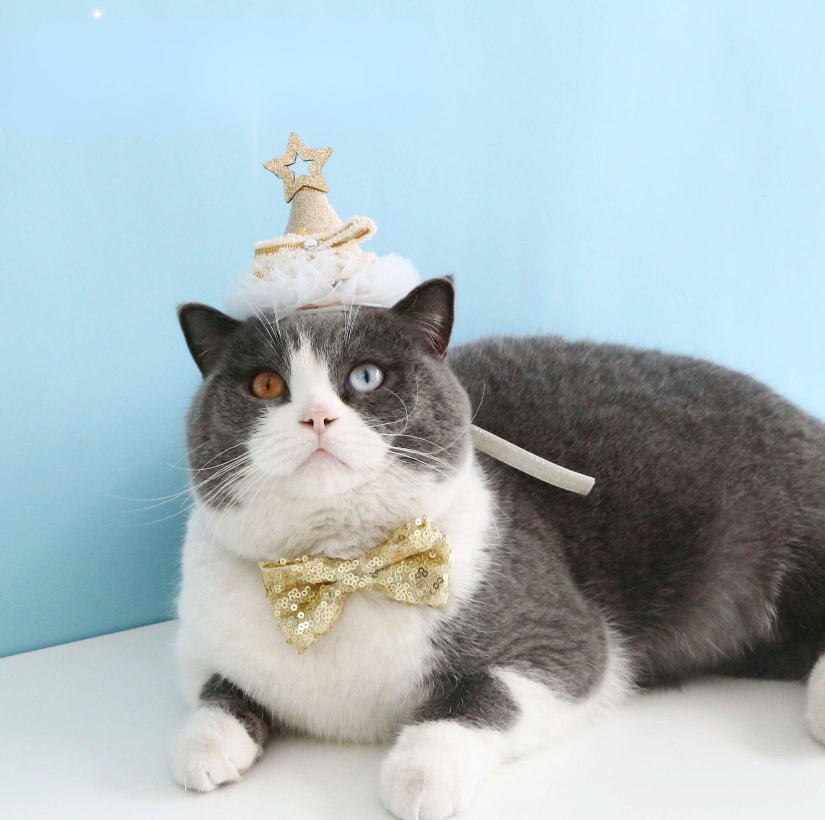 Glitter Birthday Accessory Set for Pets - Hat & Collar