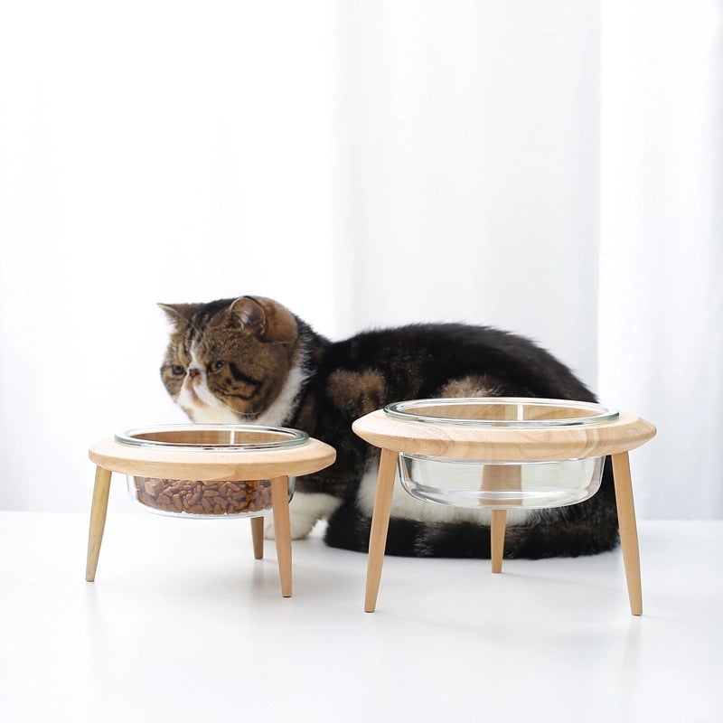 Glass Cat Bowl High Foot Protection Cervical Spine Cat Food Bowl Cat Dog Cat Basin Drinking Water Bowl Pet Ceramic Bowl Solid Wood Rack