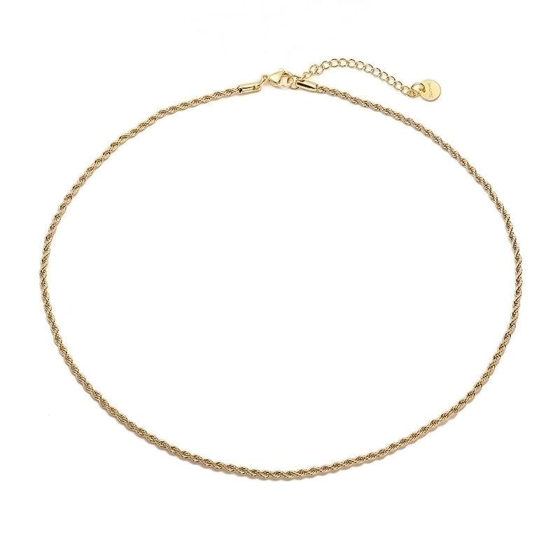 Stainless Steel IG Style Minimalist Plating Solid Color Necklace
