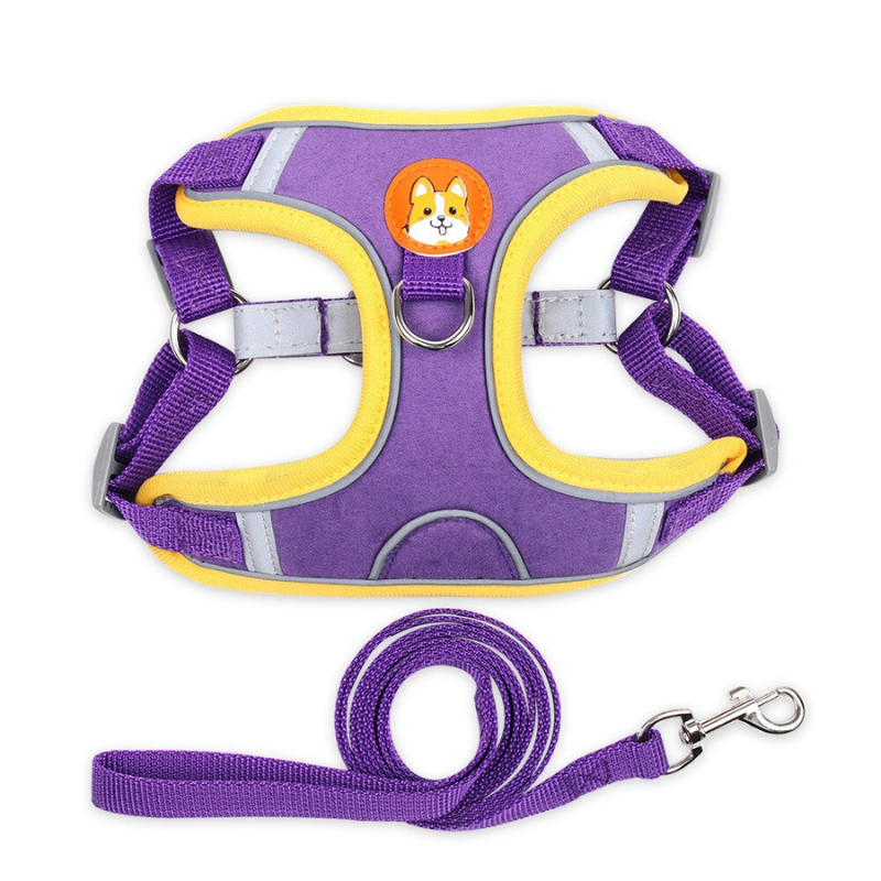 Reliable Dog Harness And Leash Set