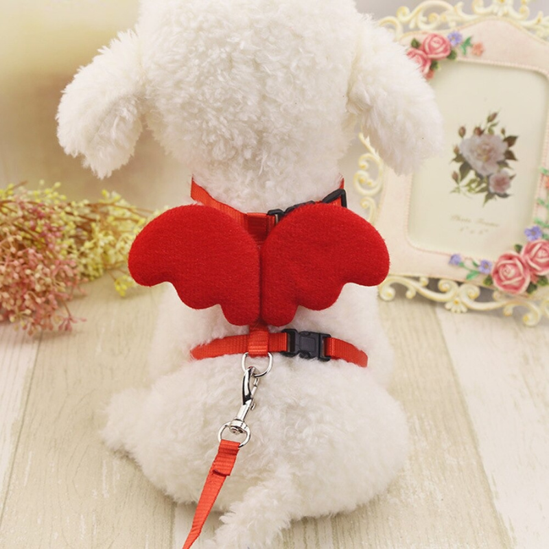 Cute Angel Pet Dog Leashes And Collars Set