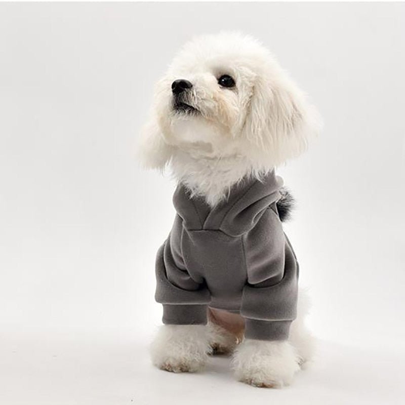 Thick Cotton Pom Pom Pet Hoodie
