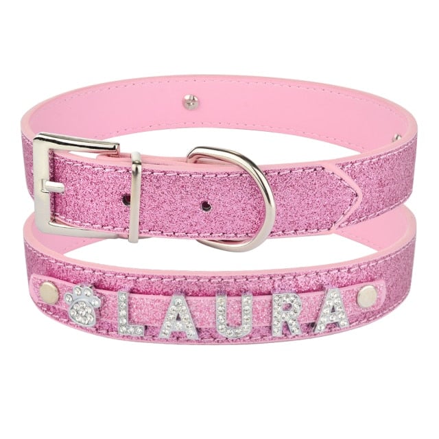 Personalized Dog Collar with Name