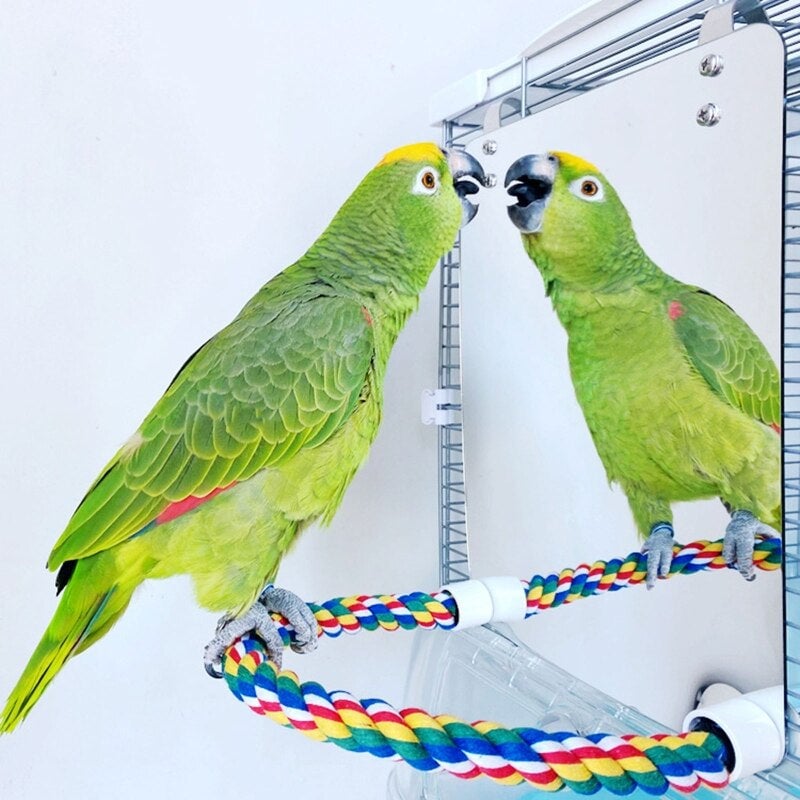 Parrot Toy Acrylic Bird Mirror